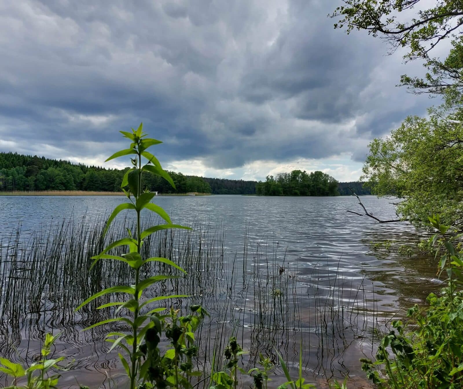Oxundasjön