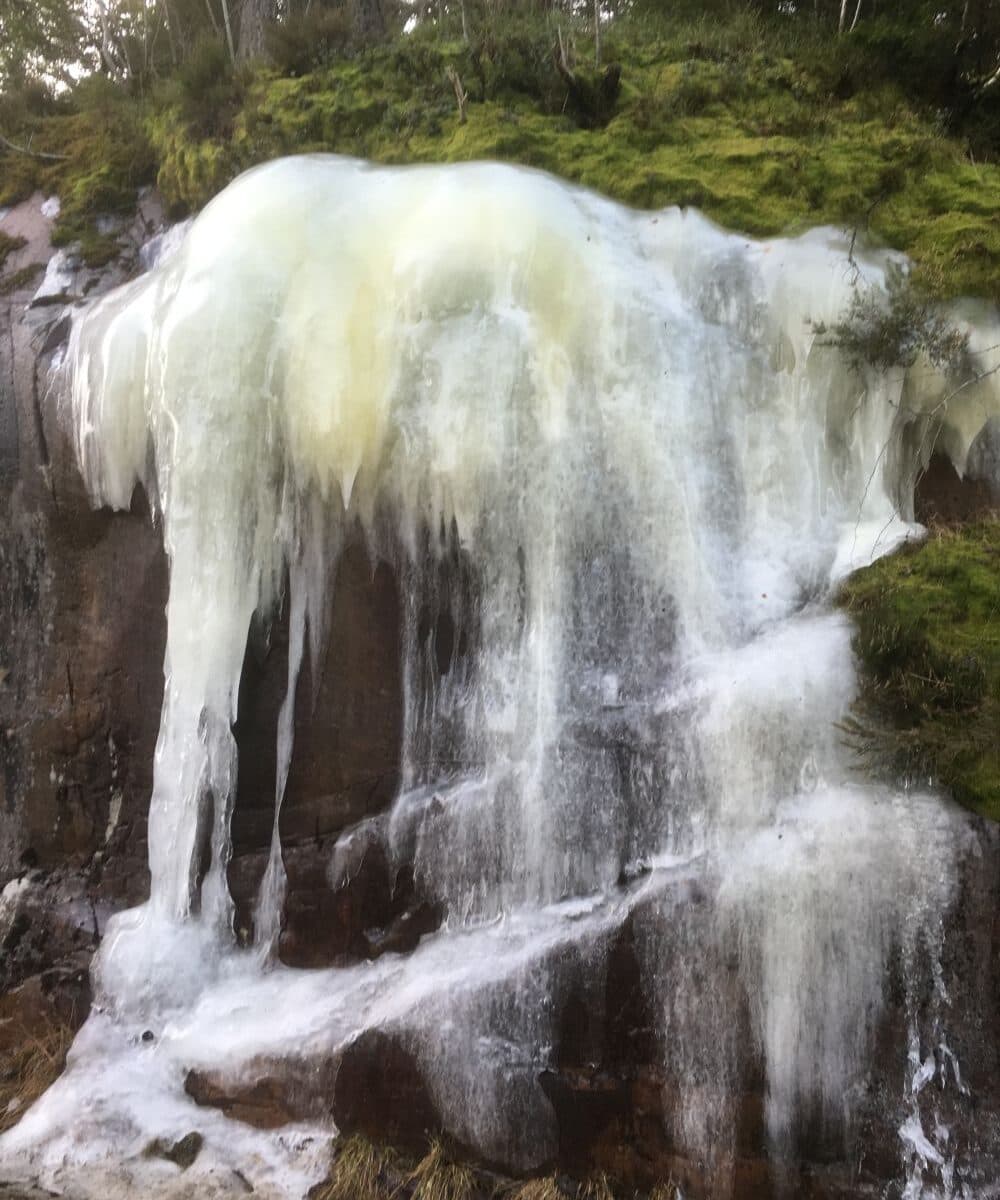 Isbildning i Törnskogen