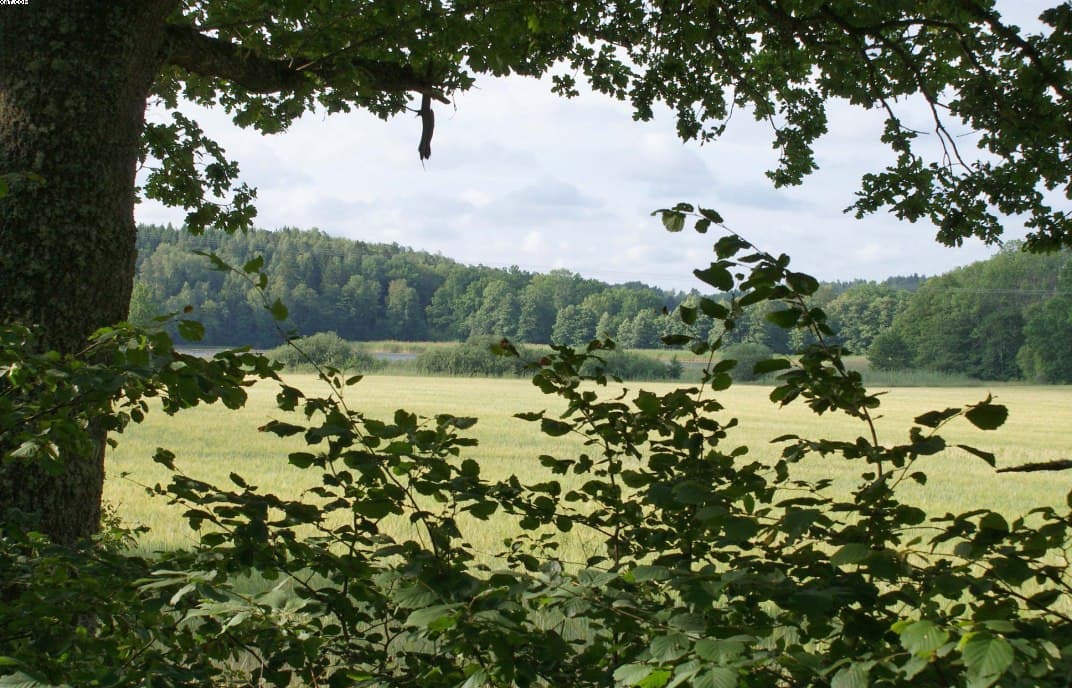 Oxundasjön