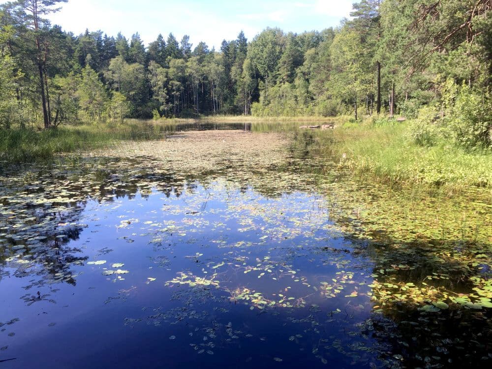 Sandakärret